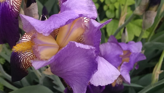 IMAG0529