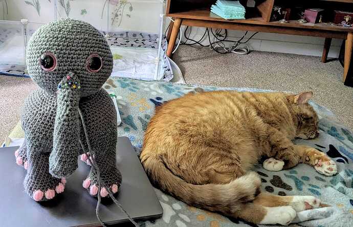 pxl_20230618_172101400.mp