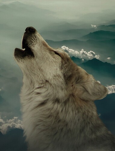 Image by Hundefan
