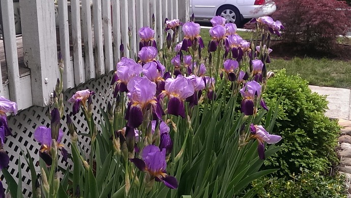IMAG0531