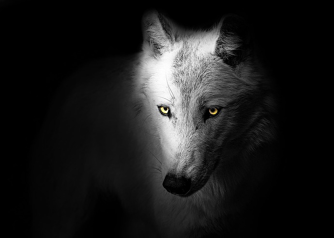 Image by Randy Rodriguez