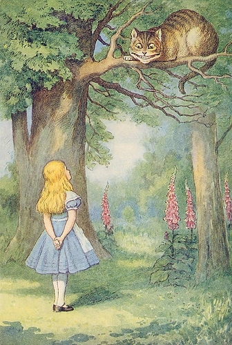 cheshire