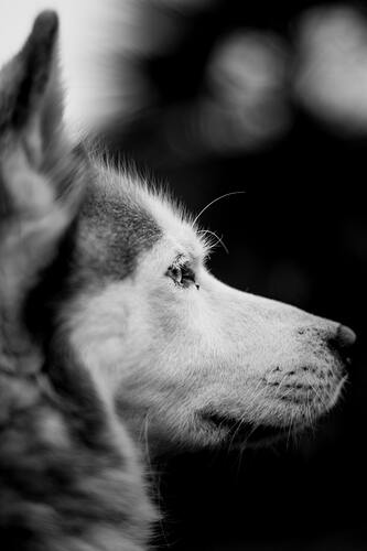 Photo by Jeremy Bishop on Unsplash