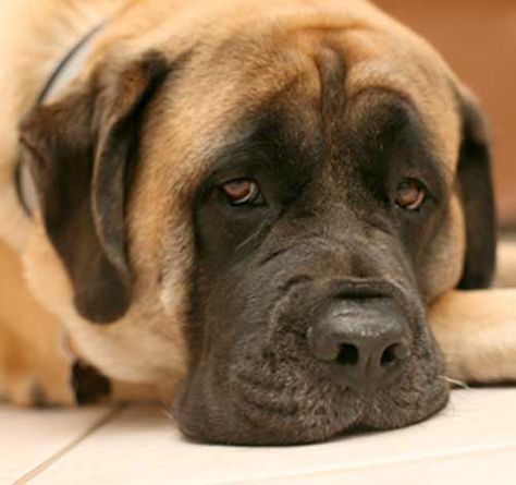 0c04e6a5f1189e7b79d46f78146f4136