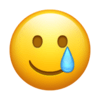 :smiling_face_with_tear: :smiling_face_with_tear: